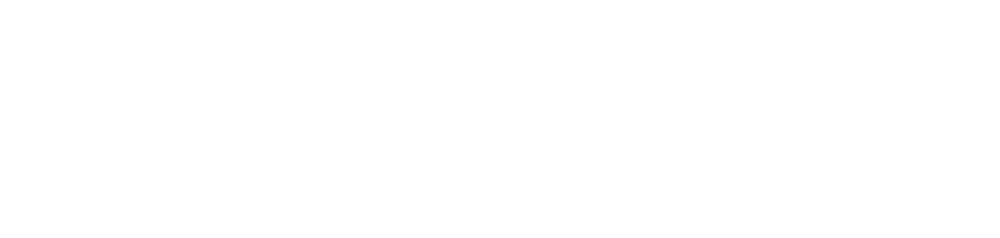 INSECAB
